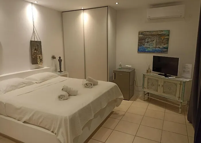 Apartment Pelagini *