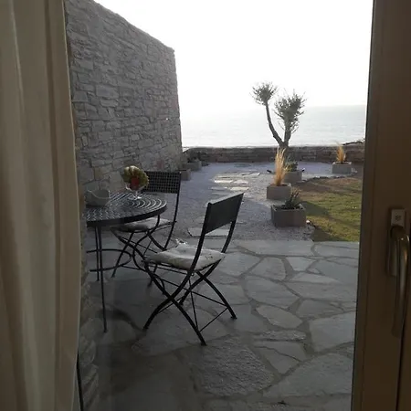 Pelagini