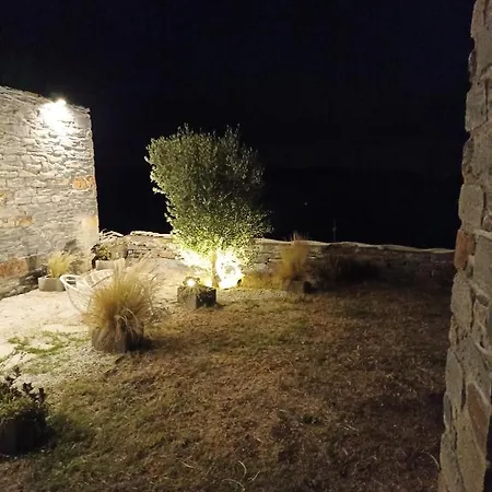 Pelagini *