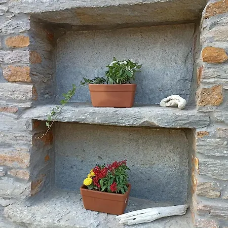 Daire Pelagini